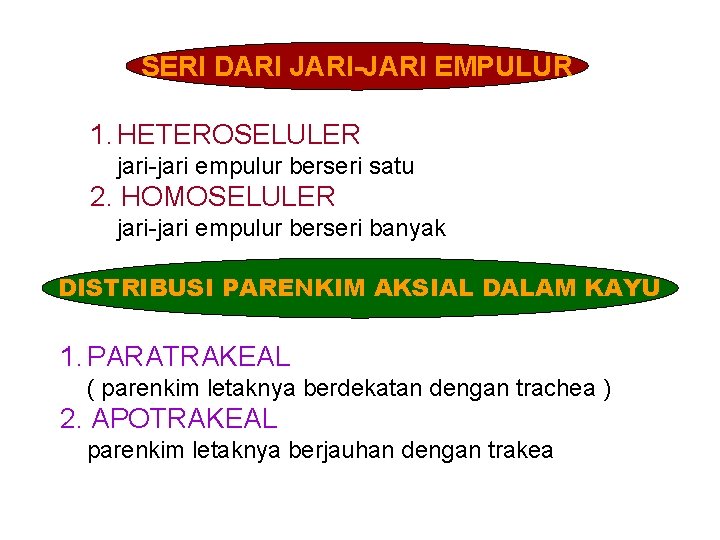 SERI DARI JARI-JARI EMPULUR 1. HETEROSELULER jari-jari empulur berseri satu 2. HOMOSELULER jari-jari empulur