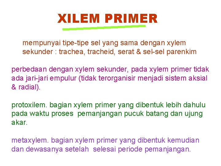 XILEM PRIMER mempunyai tipe-tipe sel yang sama dengan xylem sekunder : trachea, tracheid, serat