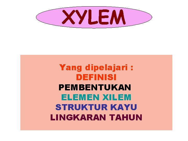 XYLEM Yang dipelajari : DEFINISI PEMBENTUKAN ELEMEN XILEM STRUKTUR KAYU LINGKARAN TAHUN 