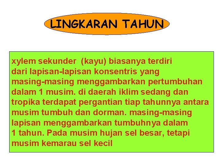 LINGKARAN TAHUN xylem sekunder (kayu) biasanya terdiri dari lapisan-lapisan konsentris yang masing-masing menggambarkan pertumbuhan