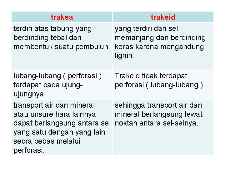 trakea trakeid terdiri atas tabung yang terdiri dari sel berdinding tebal dan memanjang dan