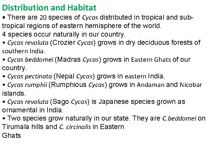 Distribution and Habitat • There are 20 species of Cycas distributed in tropical and Distribution and Habitat • There are 20 species of Cycas distributed in tropical and