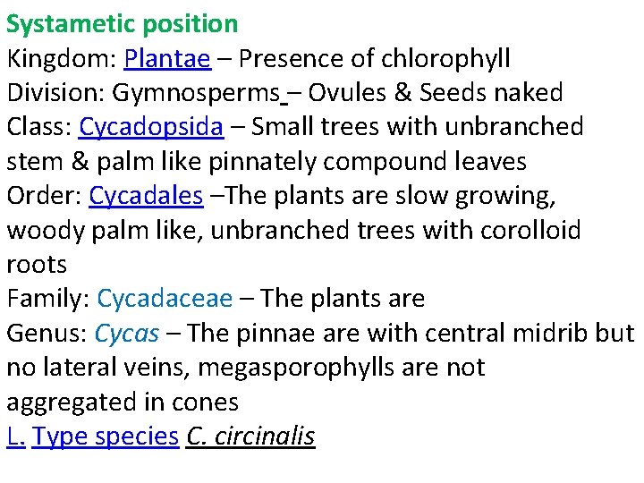 Systametic position Kingdom: Plantae – Presence of chlorophyll Division: Gymnosperms – Ovules & Seeds Systametic position Kingdom: Plantae – Presence of chlorophyll Division: Gymnosperms – Ovules & Seeds