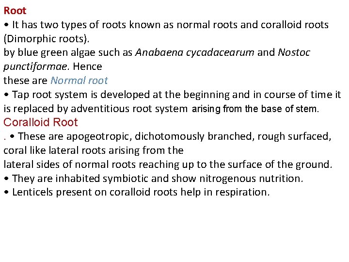 Root • It has two types of roots known as normal roots and coralloid Root • It has two types of roots known as normal roots and coralloid