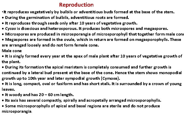 Reproduction • It reproduces vegetatively by bulbils or adventitious buds formed at the Reproduction • It reproduces vegetatively by bulbils or adventitious buds formed at the