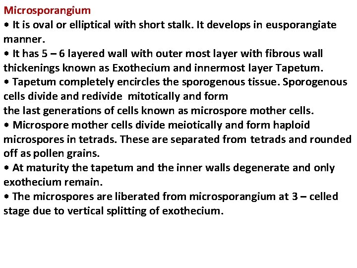 Microsporangium • It is oval or elliptical with short stalk. It develops in eusporangiate Microsporangium • It is oval or elliptical with short stalk. It develops in eusporangiate