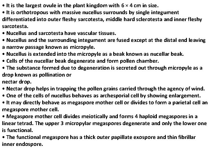 • It is the largest ovule in the plant kingdom with 6 × • It is the largest ovule in the plant kingdom with 6 ×
