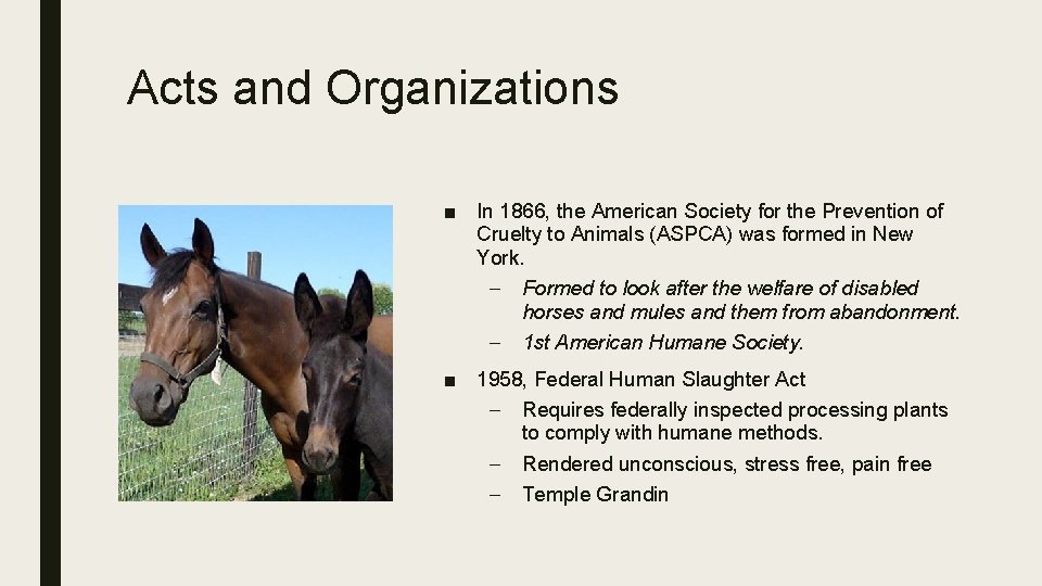 Acts and Organizations ■ In 1866, the American Society for the Prevention of Cruelty