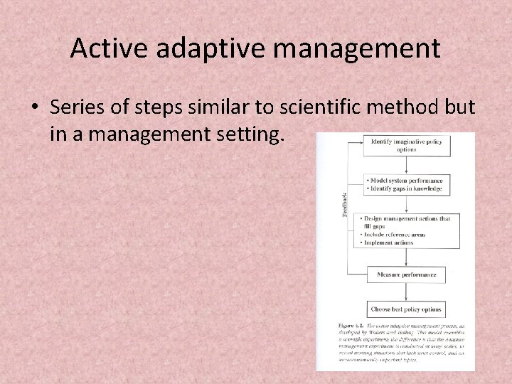 Active adaptive management • Series of steps similar to scientific method but in a