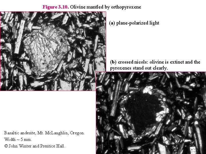 Figure 3. 10. Olivine mantled by orthopyroxene (a) plane-polarized light (b) crossed nicols: olivine