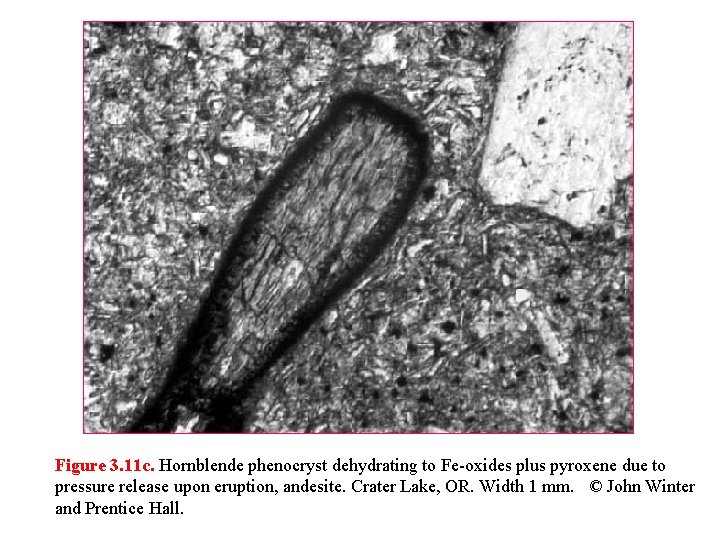 Figure 3. 11 c. Hornblende phenocryst dehydrating to Fe-oxides plus pyroxene due to pressure