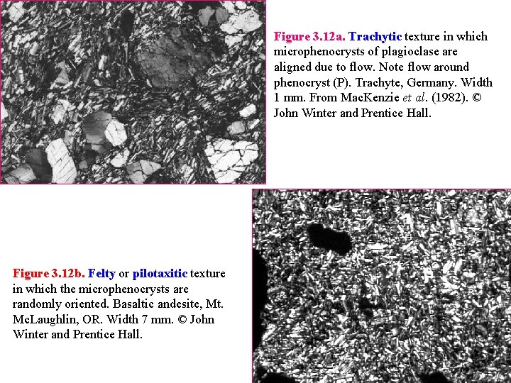 Figure 3. 12 a. Trachytic texture in which microphenocrysts of plagioclase are aligned due