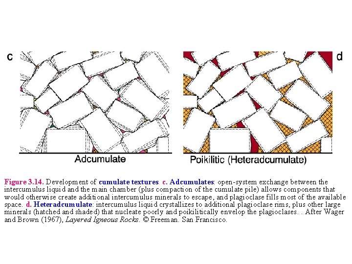 Figure 3. 14. Development of cumulate textures. c. Adcumulates: open-system exchange between the intercumulus
