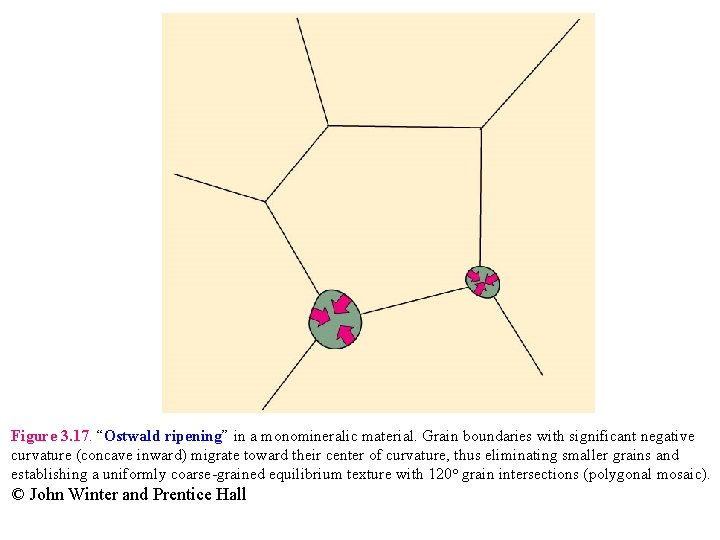 Figure 3. 17. “Ostwald ripening” in a monomineralic material. Grain boundaries with significant negative