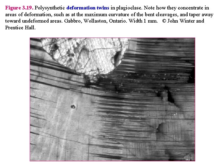 Figure 3. 19. Polysynthetic deformation twins in plagioclase. Note how they concentrate in areas