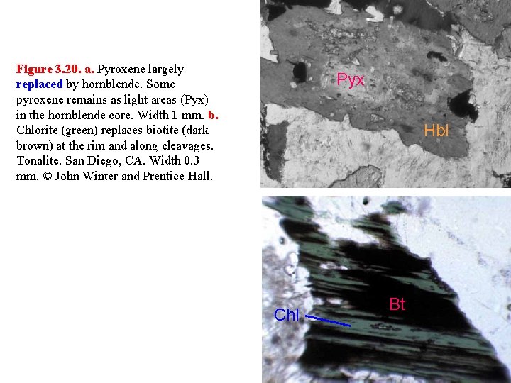 Figure 3. 20. a. Pyroxene largely replaced by hornblende. Some pyroxene remains as light