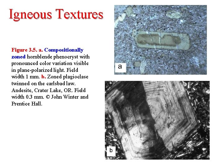 Igneous Textures Figure 3. 5. a. Compositionally zoned hornblende phenocryst with pronounced color variation