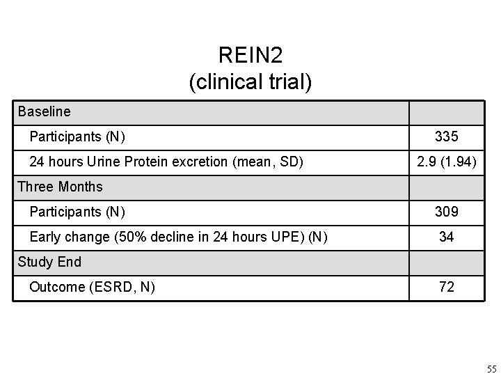 REIN 2 (clinical trial) Baseline Participants (N) 24 hours Urine Protein excretion (mean, SD)