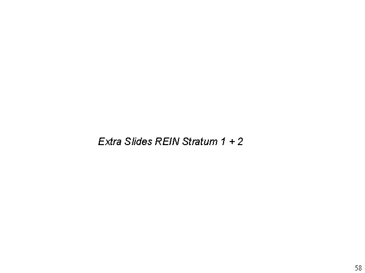 Extra Slides REIN Stratum 1 + 2 58 