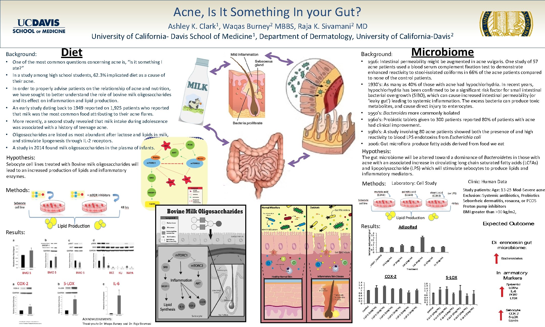 Acne, Is It Something In your Gut? Ashley K. Clark 1, Waqas Burney 2