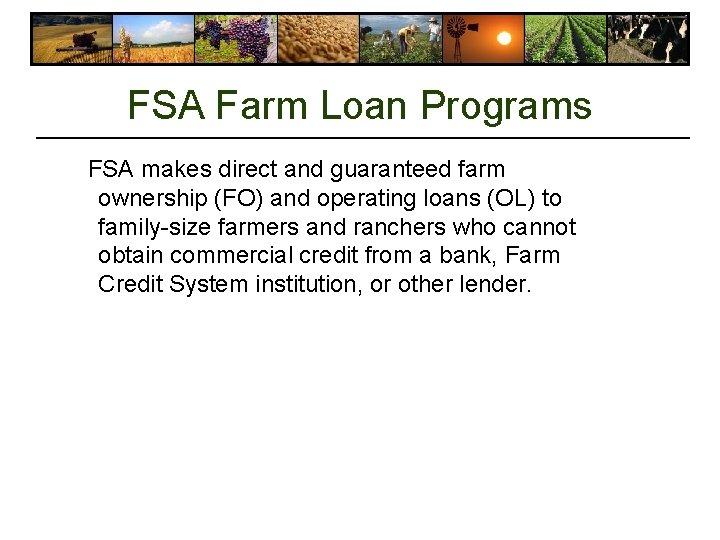 FSA Farm Loan Programs FSA makes direct and guaranteed farm ownership (FO) and operating FSA Farm Loan Programs FSA makes direct and guaranteed farm ownership (FO) and operating