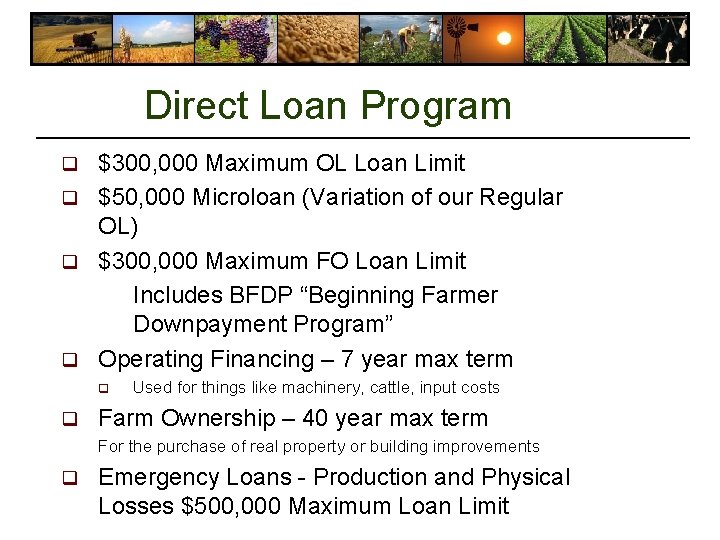 Direct Loan Program $300, 000 Maximum OL Loan Limit q $50, 000 Microloan (Variation Direct Loan Program $300, 000 Maximum OL Loan Limit q $50, 000 Microloan (Variation