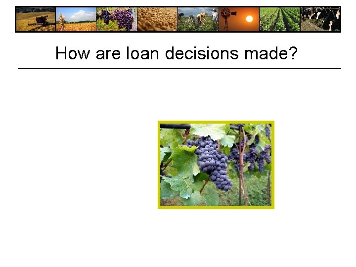 How are loan decisions made? How are loan decisions made?