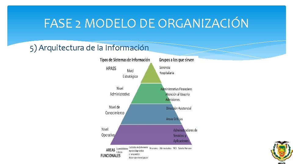 FASE 2 MODELO DE ORGANIZACIÓN 5) Arquitectura de la Información 