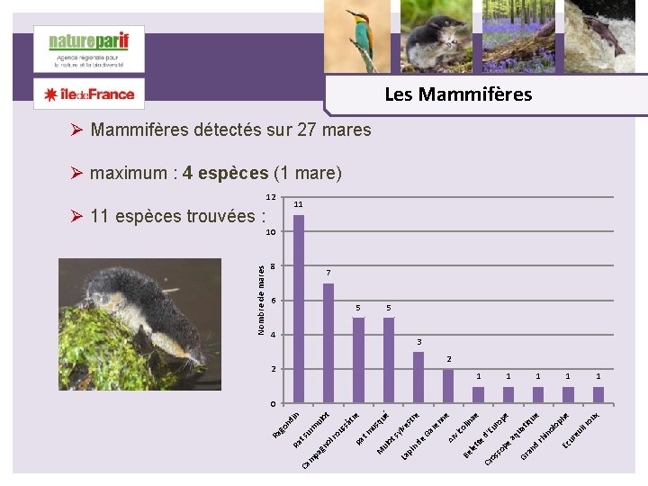 x ou il r he 1 eu Ec ur tiq ue 1 ol op