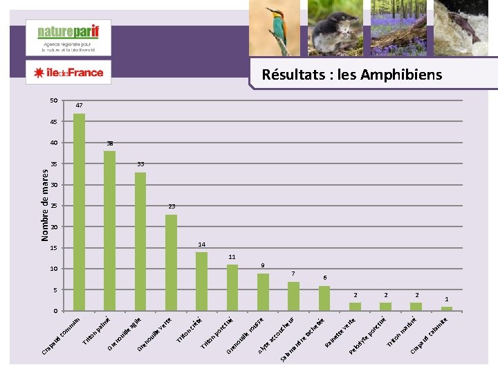 ite é br ar 2 am ca l d au ap Cr m 2
