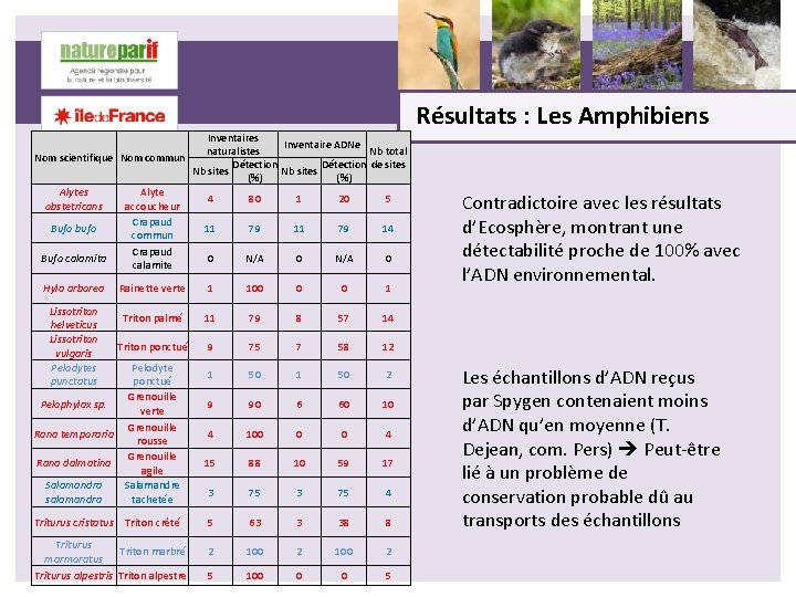 Inventaires Inventaire ADNe naturalistes Nb total Nom scientifique Nom commun Détection de sites Nb