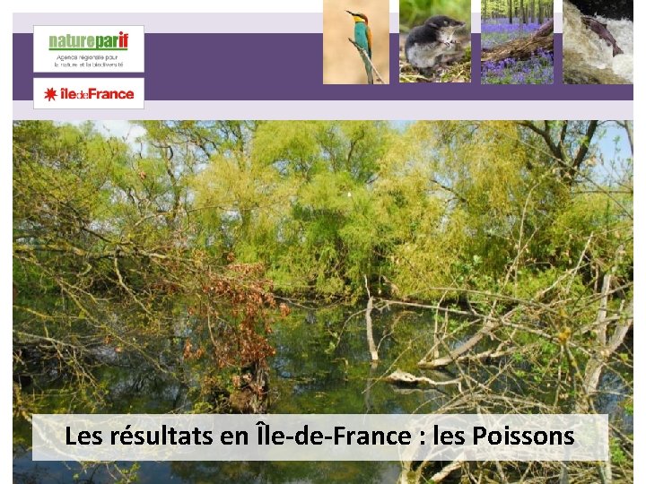 Les résultats en Île-de-France : les Poissons 