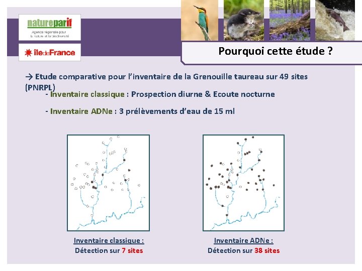 Pourquoi cette étude ? → Etude comparative pour l’inventaire de la Grenouille taureau sur