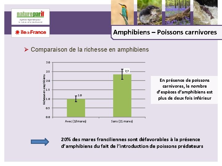 Amphibiens – Poissons carnivores Ø Comparaison de la richesse en amphibiens 3. 0 2,