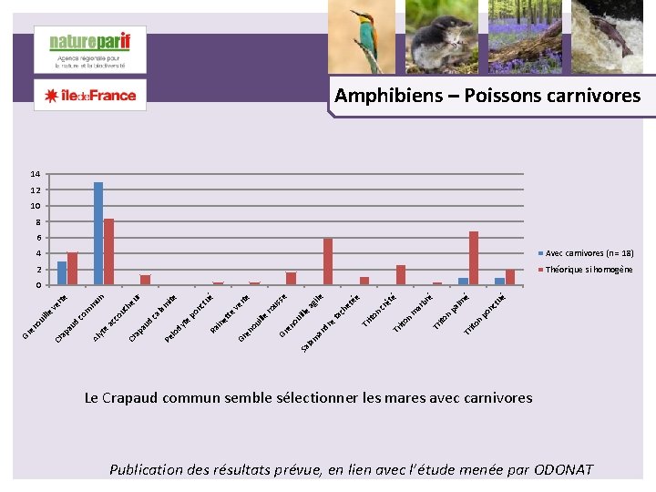 Amphibiens – Poissons carnivores 14 12 10 8 6 4 Avec carnivores (n =