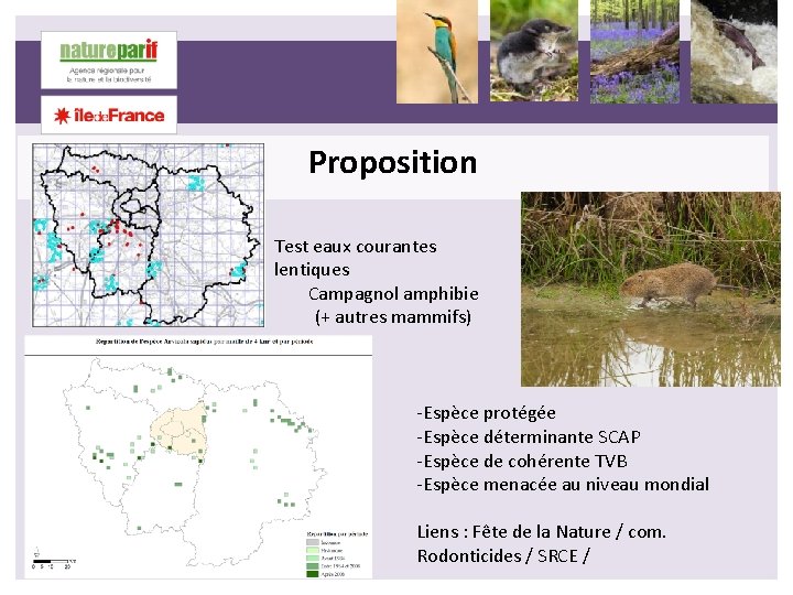 Proposition Test eaux courantes lentiques Campagnol amphibie (+ autres mammifs) -Espèce protégée -Espèce déterminante