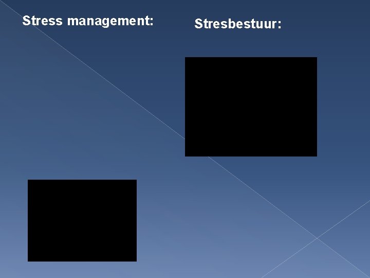 Stress management: Stresbestuur: 