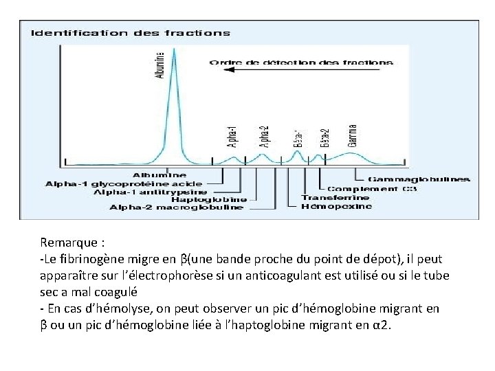 Remarque : -Le fibrinogène migre en β(une bande proche du point de dépot), il