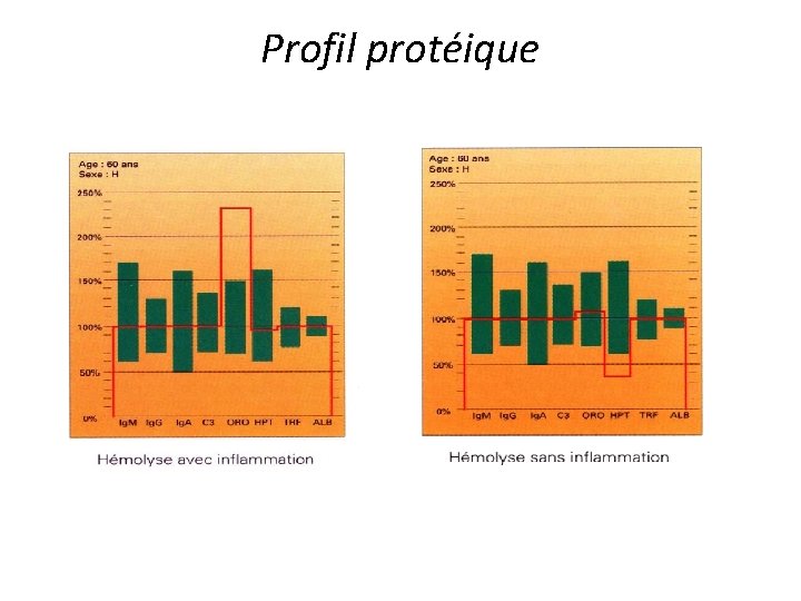 Profil protéique 