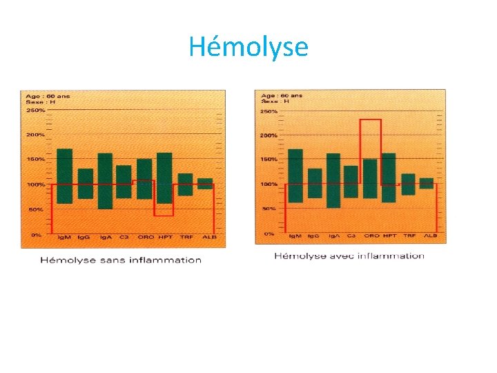 Hémolyse 