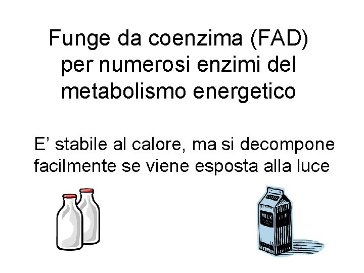 Funge da coenzima (FAD) per numerosi enzimi del metabolismo energetico E’ stabile al calore,