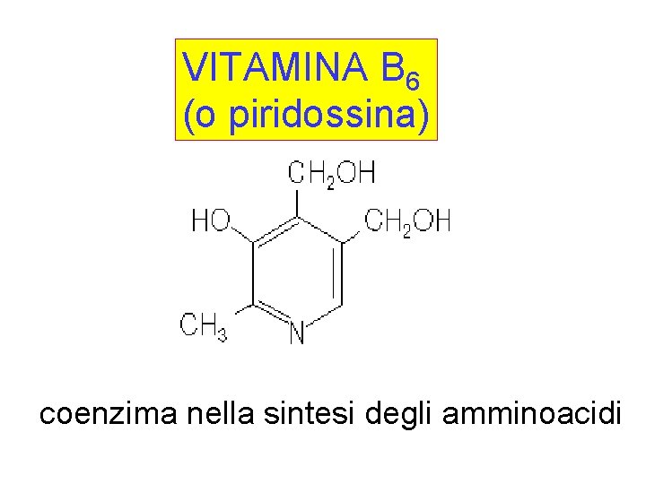 VITAMINA B 6 (o piridossina) coenzima nella sintesi degli amminoacidi 