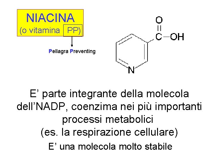 NIACINA (o vitamina PP) Pellagra Preventing E’ parte integrante della molecola dell’NADP, coenzima nei