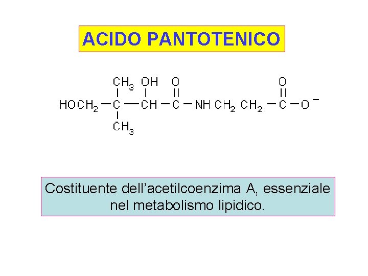 ACIDO PANTOTENICO Costituente dell’acetilcoenzima A, essenziale nel metabolismo lipidico. 