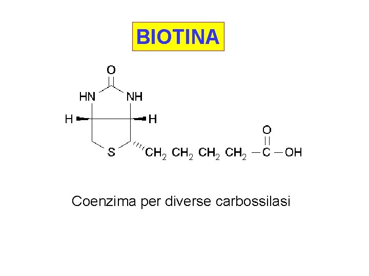 BIOTINA Coenzima per diverse carbossilasi 
