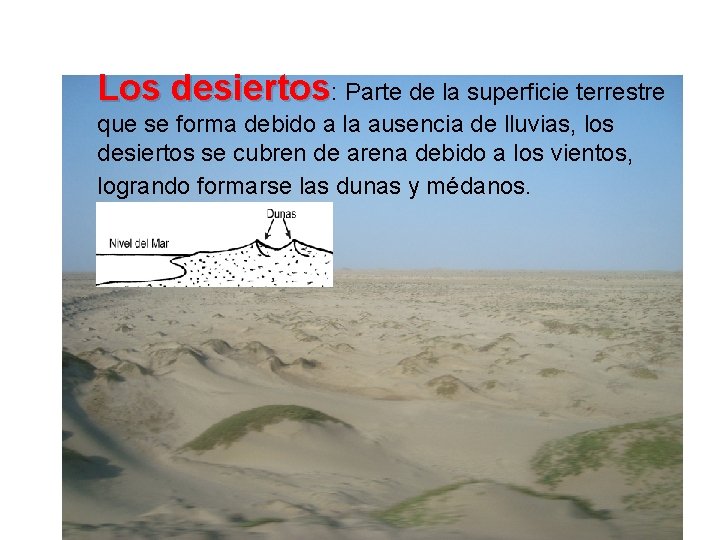 Los desiertos: Parte de la superficie terrestre que se forma debido a la ausencia Los desiertos: Parte de la superficie terrestre que se forma debido a la ausencia