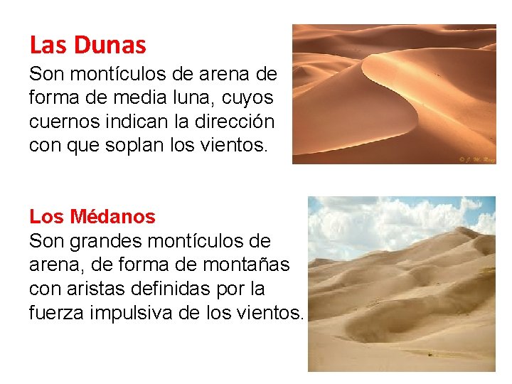 Las Dunas Son montículos de arena de forma de media luna, cuyos cuernos indican Las Dunas Son montículos de arena de forma de media luna, cuyos cuernos indican