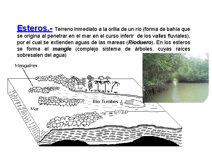 Esteros. - Terreno inmediato a la orilla de un río (forma de bahía que Esteros. - Terreno inmediato a la orilla de un río (forma de bahía que