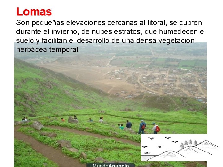 Lomas: Son pequeñas elevaciones cercanas al litoral, se cubren durante el invierno, de nubes Lomas: Son pequeñas elevaciones cercanas al litoral, se cubren durante el invierno, de nubes