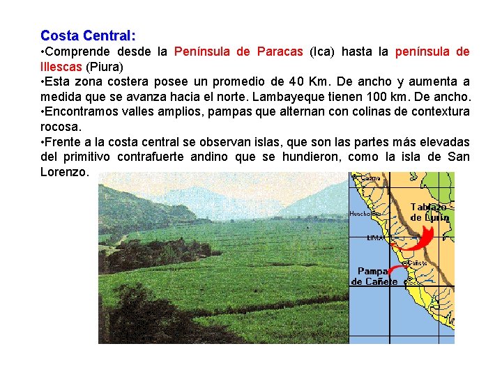 Costa Central: • Comprende desde la Península de Paracas (Ica) hasta la península de Costa Central: • Comprende desde la Península de Paracas (Ica) hasta la península de